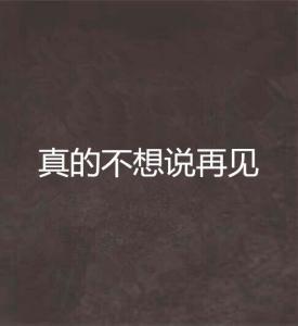 分手不想说再见,情感旅程的温柔告别