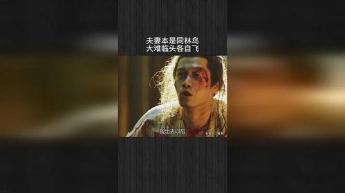 新：大难临头各自飞,各自飞向何方？